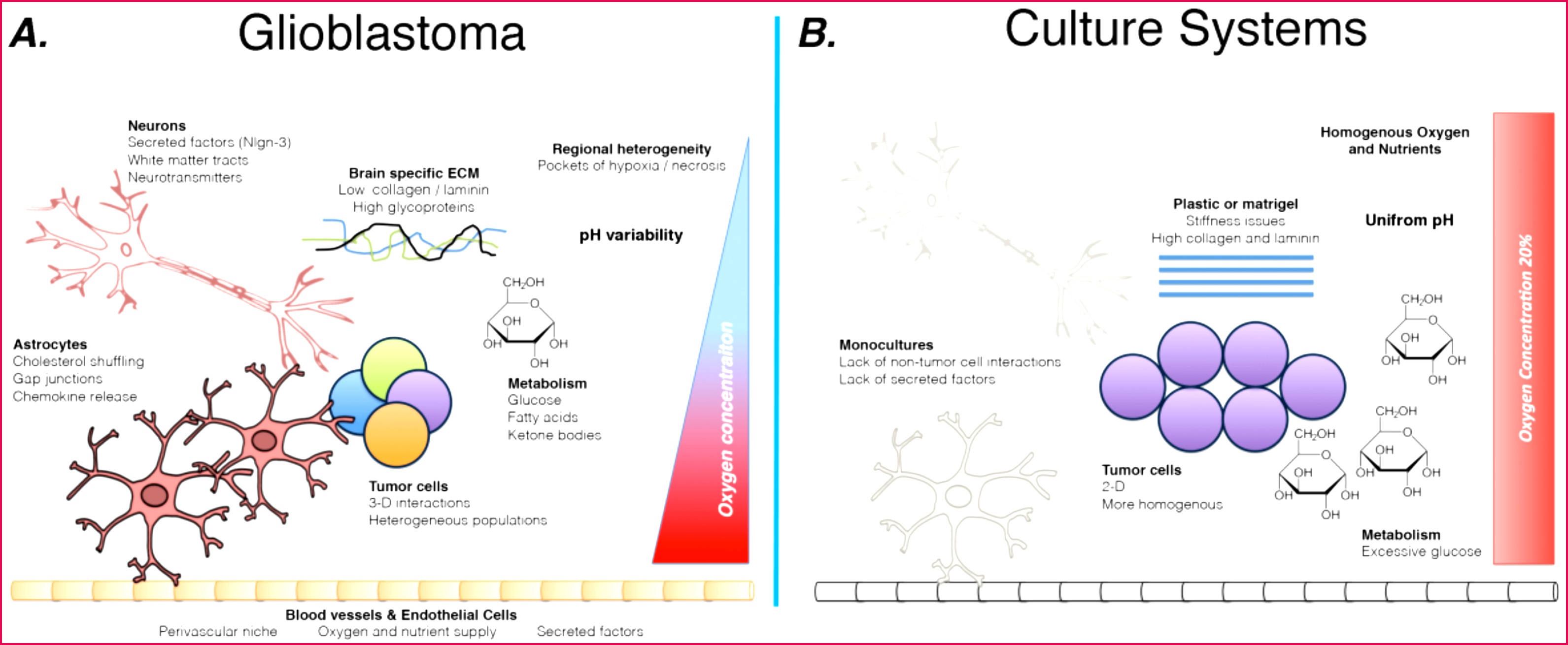 Cancers Free Full Text 31821310 Cancers 11 g001