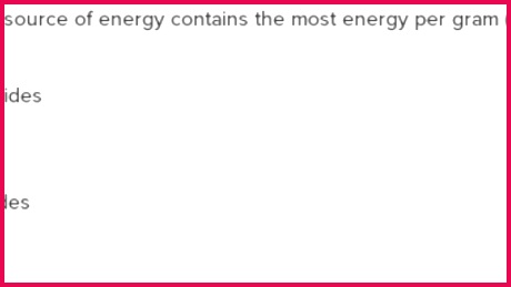 Fat and protein metabolism questions practice 259460 Bt9EY3HNzDYOZJEQK3IVwhQIPZ YMLkPKmPuAX Hv3DYcaQe2FSeRu3FfP1bazUv9RnsKzUskk5c0QtihxKZxW8tZA