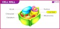 Class 11 Notes Biology Cell Structure and Functions Long Questions