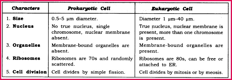 NCERT Solutions For Class 9 Science Chapter 5 The Fundamental Unit of Life 10