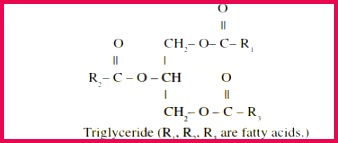 Class11BioCH