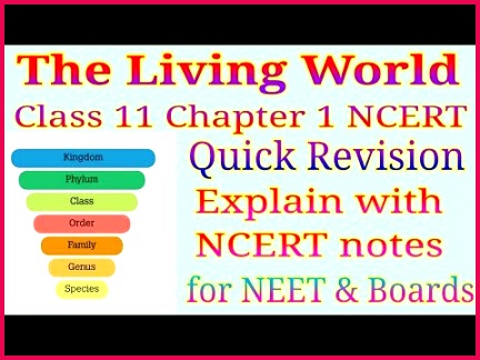 The living world class 11 ncert notes for revision