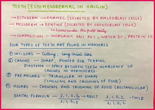 My lectures are designed in such a manner that it saves a lot of time For instance we can plete a chapter like excretory system in merely 2 hours