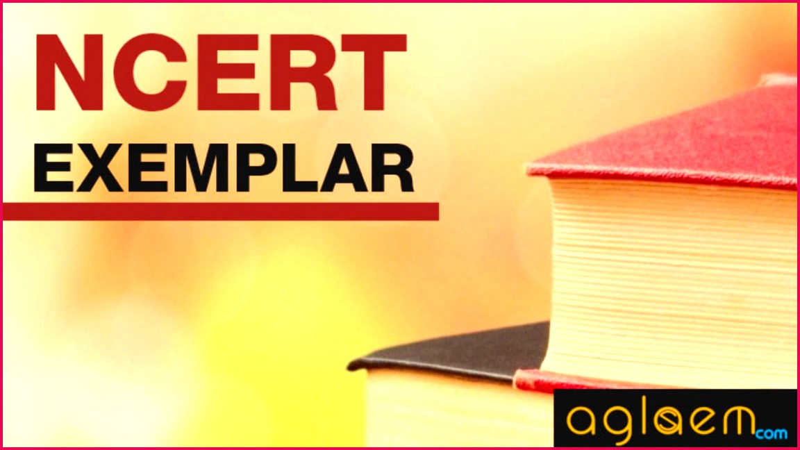 NCERT Exemplar Logo