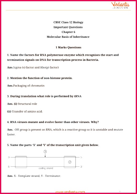 Important Questions Class 12 Biology Chapter 6 part 1