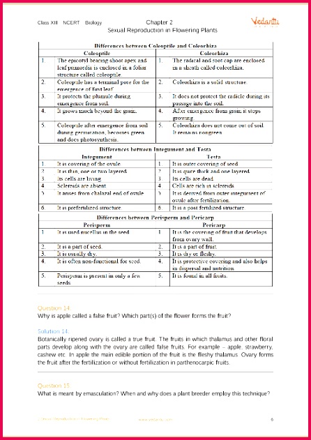 NCERT Solutions for Class 12 Biology Chapter 2 ual Reproduction in Flowering Plants Free PDF