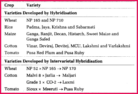 NEET Biology Notes Biology and Human Welfare Plant breeding 4