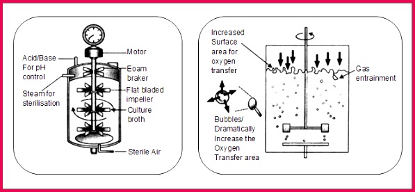 biology Biotechnology