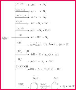 Amines Class 12 Notes Chemistry