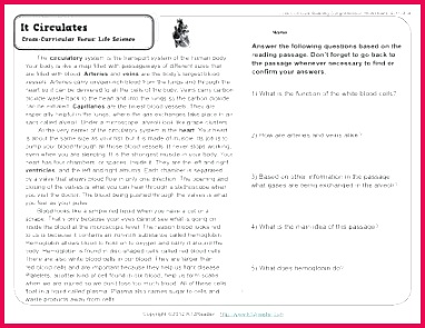 About This Worksheet English Grammar prehension Worksheets 382295 About This Worksheet English Grammar prehension Worksheets Grammar prehension Worksheets