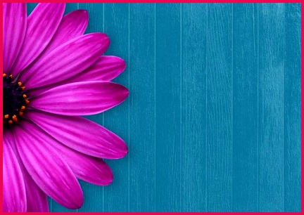 1 000 Free Wel e & Love Pixabay 306432 Background Flower Wood Spring