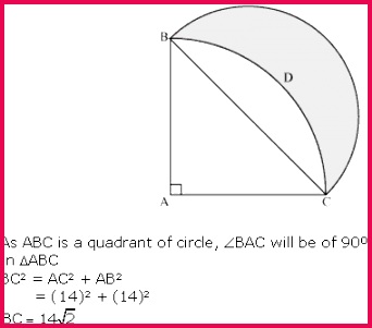 Solution 15