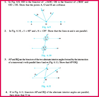 Class 9 Math Chapter 6 Lines and Angles