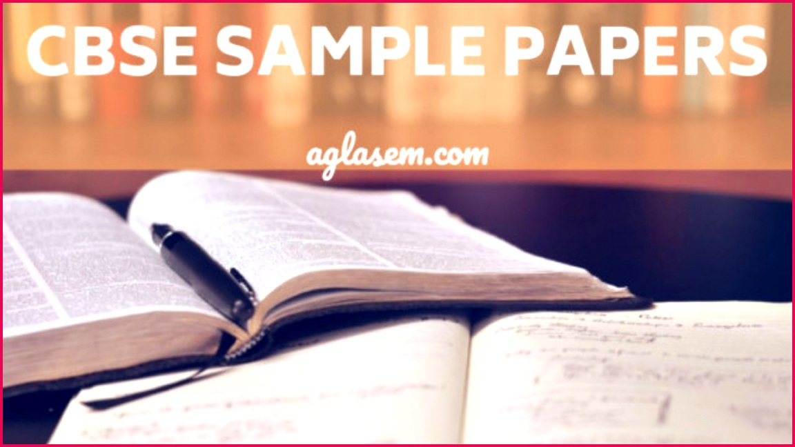 CBSE Sample for Class 11 Accountancy Solved – Set D