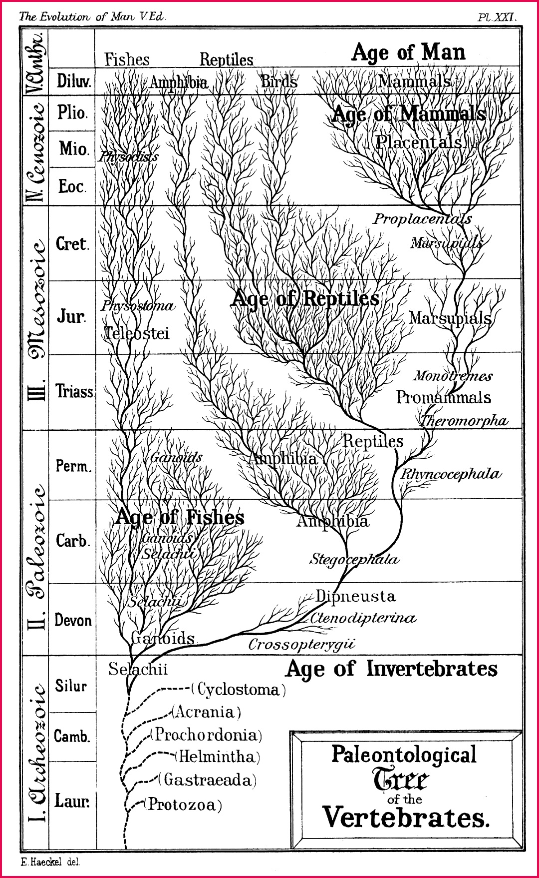 1200px Age of Man wiki