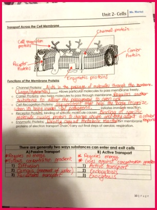 cell notes p 10 answer key