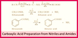 Amide undergoes hydrolysis in the presence of catalyst H or OH– to form carboxylic acids