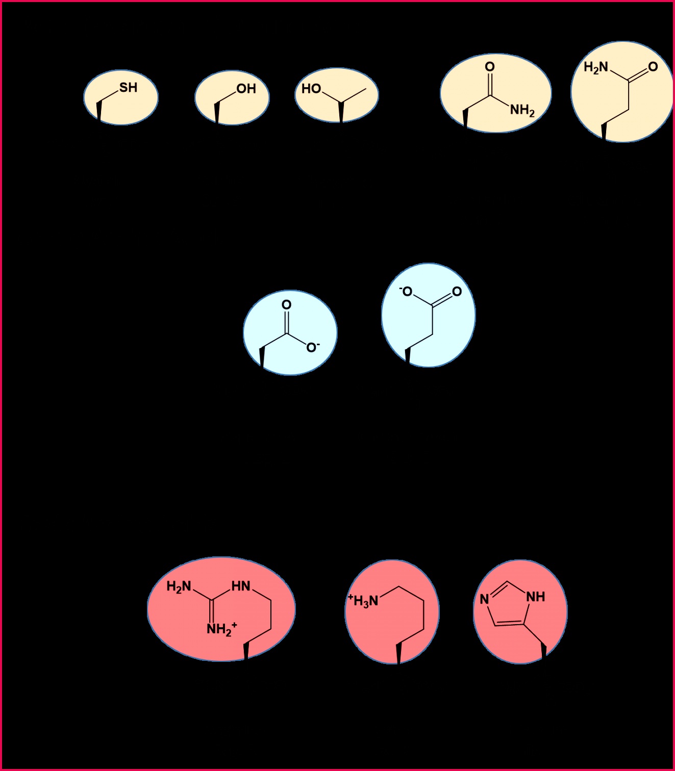 CH103 – Chapter 8 The Major Macromolecules – Chemistry 15121323 There are a total of 20 alpha amino acids that are monly incorporated into protein structures Figure 11 5