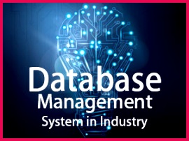 Database Management System in Industry