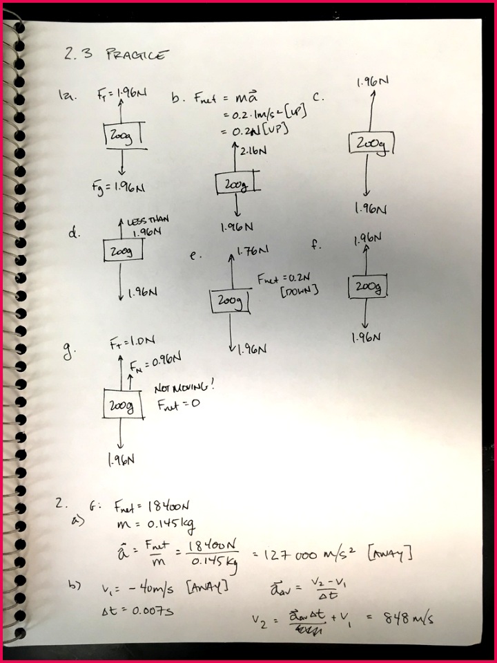 Day 5 July 10 Newton s Laws