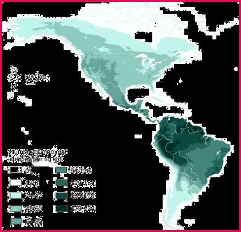 Species diversity