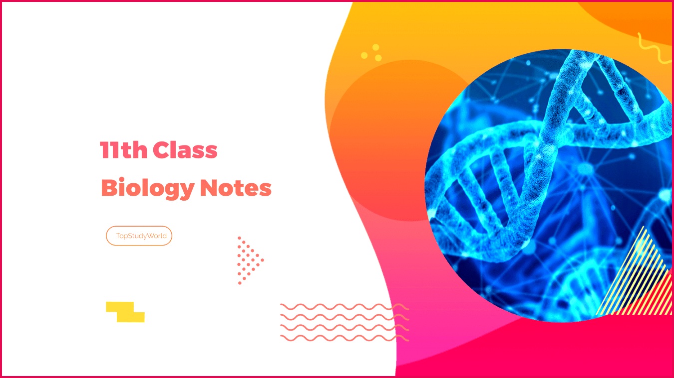 Class 11 Biology Notes for FBISE With FREE PDF