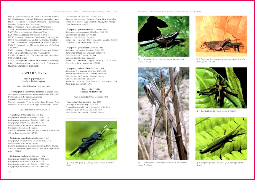 Biodiversity of South America