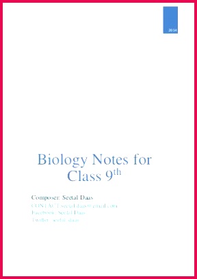 Next Slide s