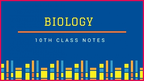 10th Biology Notes New with Important Questions Federal Board