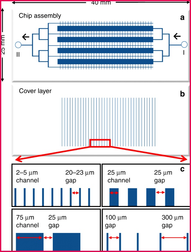 a Schematic diagram of the microfluidic chip with arrows indicating the direction of cell and fluid delivery from inlet I to outlet II b Cover slip