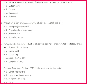 Class 11 Biology Chapter 14 Respiration in Plants