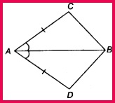 NCERT Solutions for Class 9 Maths Chapter 7 Triangles Ex 7 1 Q1