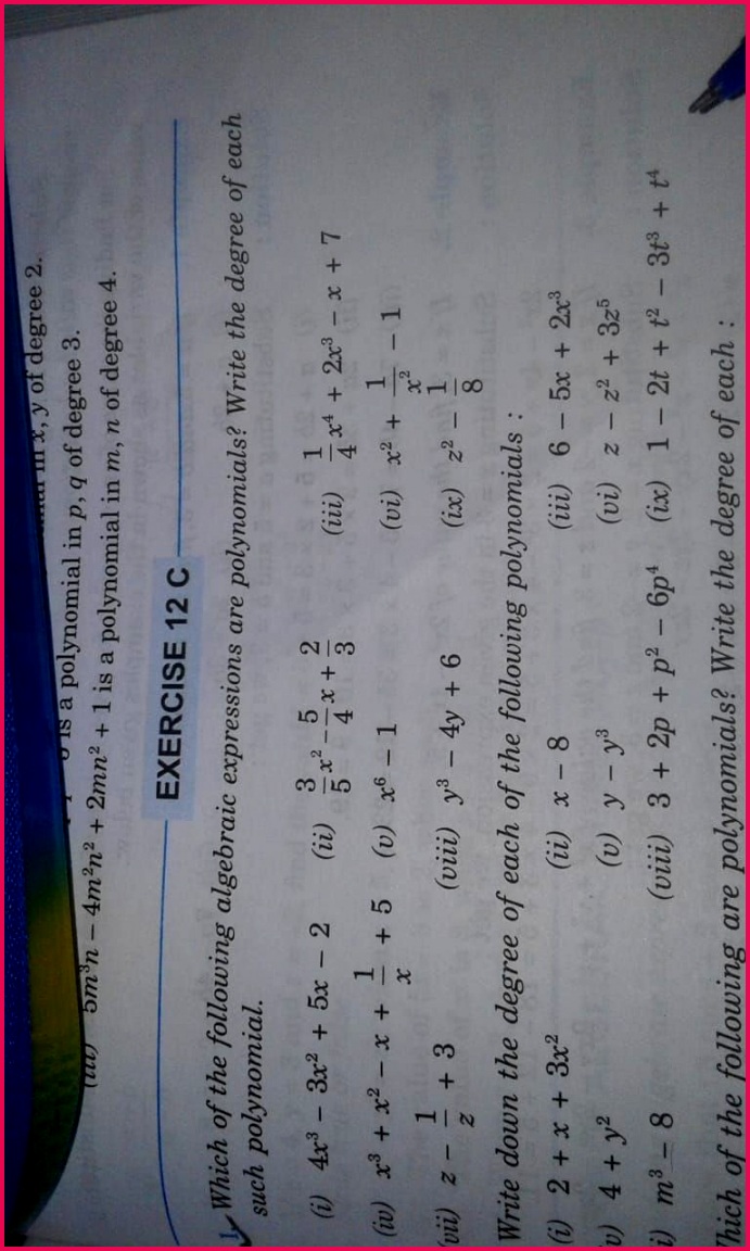 Key Features of Study Materials for ICSE Class 6 Mathematics