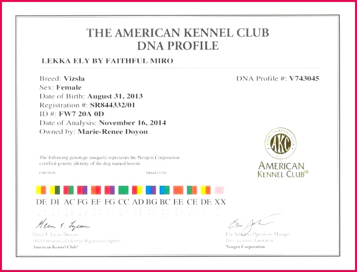 birth certificate sample or farewell template unique application for new f