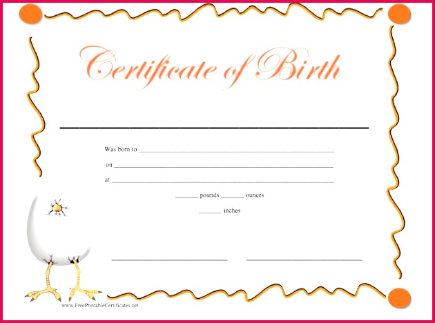 15 birth certificate templates word pdf template lab fake birth certificate maker free 1