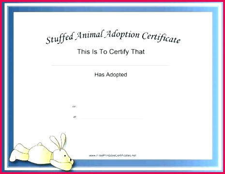 baby certificate maker sleepyhead baby birth certificate template