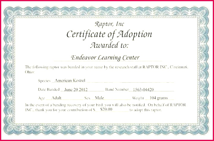 adoption certificate template tire pet paw patrol