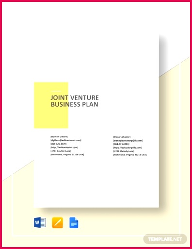 Joint Venture Business Plan Template Word Google Docs 396513 Joint Venture Business Plan