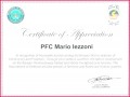 3 Army Certificate Of Achievement Template Microsoft Word