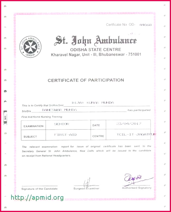 Level 1 Certificate Template Unique Army Free Drivers Training 720583 flag flyers military certificate template award