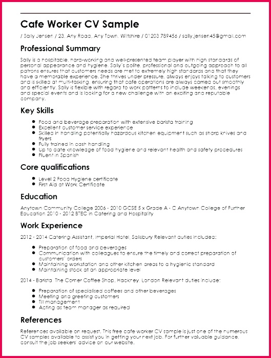 samples of cv template example word