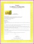 6 Artist Certificate Of Authenticity Template Free