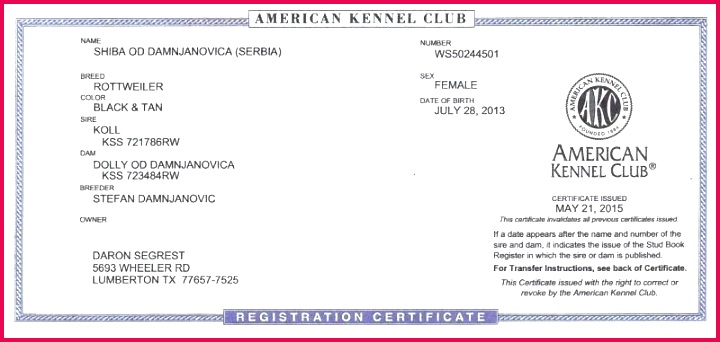 birth certificate template for word unique blank marriage of birthday happy certificates