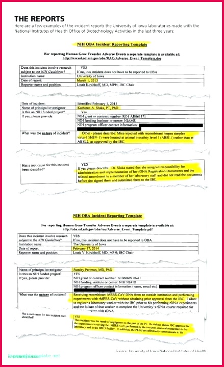 birth certificate sample or build a bear template awesome service dog and best certified copy marriage