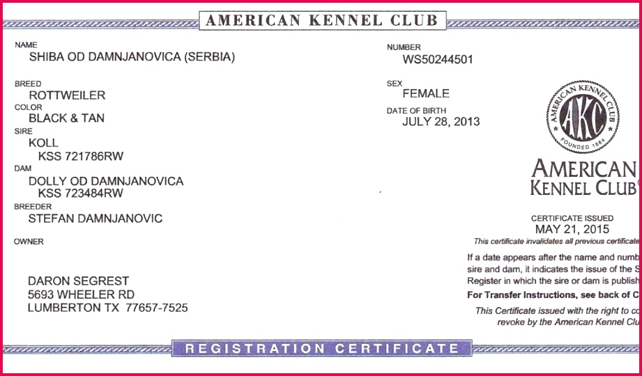 Birth Certificate French Sample and Birth Certificate Gambia Archives Cialiscouponfree