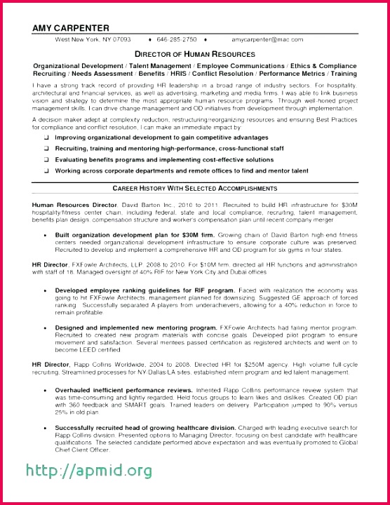 birth certificate template word best of for unique correct name old free dog microsoft temp