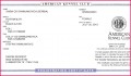 3 Blank Birth Certificate Templates