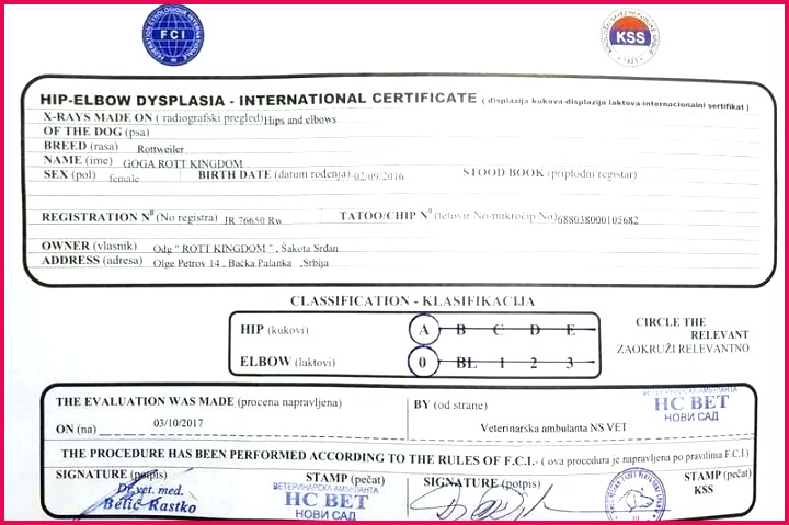 birth certificate free blank template magnificent paralegal printable certificates forms t