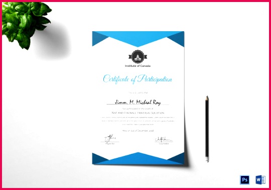 sample attractive participation certificate template