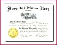 4 Blank German Birth Certificate Template